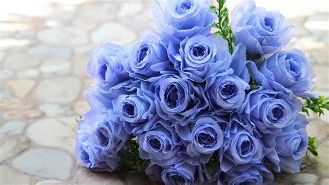 types of blue roses pictures.